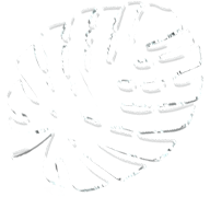 Tropical Flower