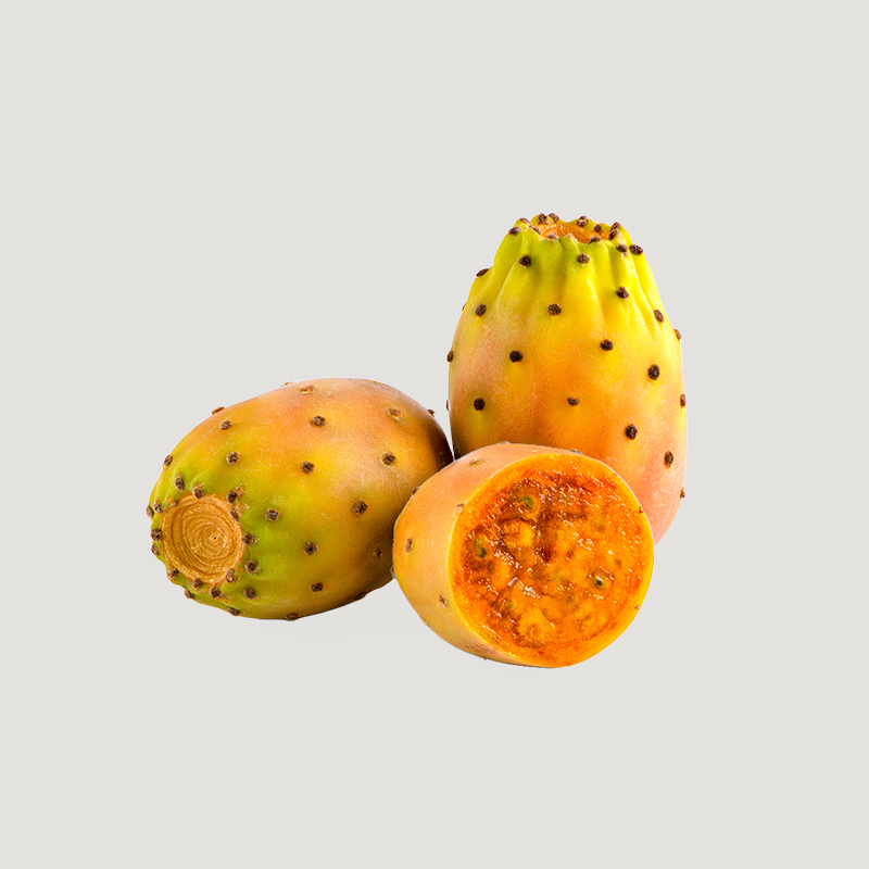Prickly Pear for Cosmetic Use