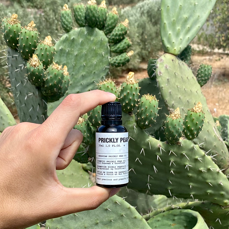 Prickly Pear Oil with Prickly Pear Plantation in the Background