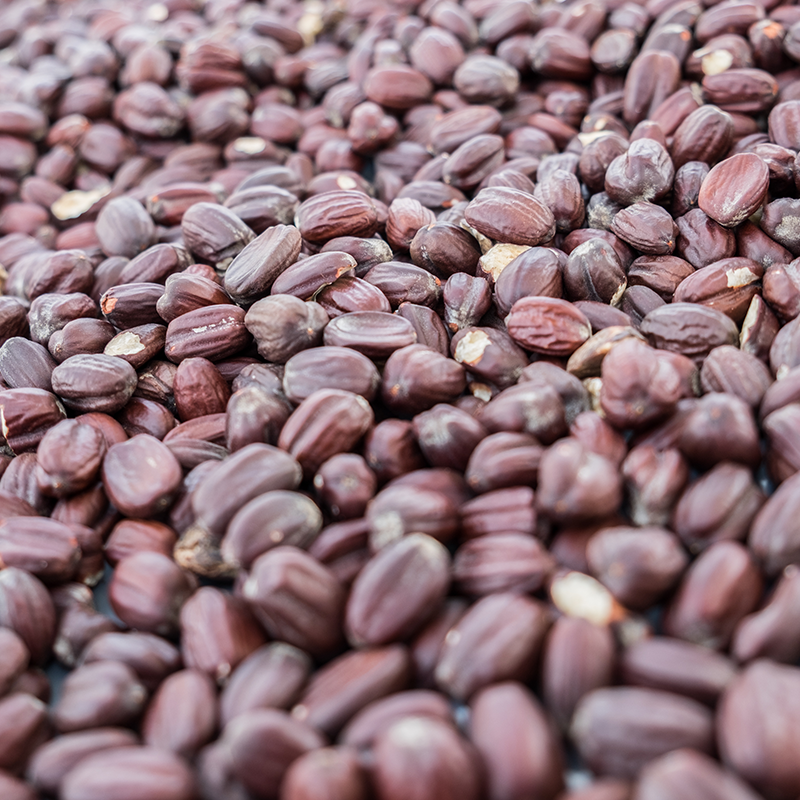 Jojoba Beans - Natural Source